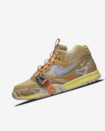Nike Air Trainer 1 SP Marrom Azules | MX 2690